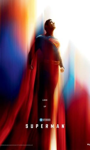 51kO0GWyCIL._AC_UF894,1000_QL80_